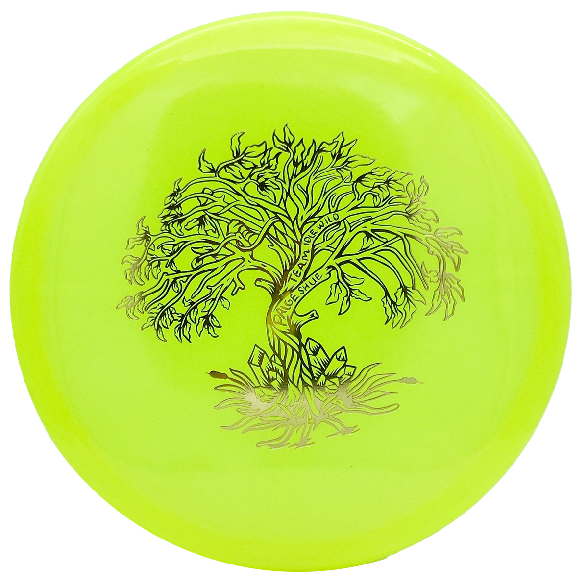 Dynamic Discs Lucid Ice Glimmer Suspect Paige Shue Team Idlewild